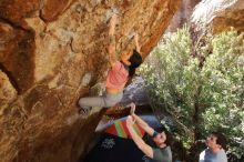 Bouldering in Hueco Tanks on 02/16/2020 with Blue Lizard Climbing and Yoga

Filename: SRM_20200216_1304370.jpg
Aperture: f/5.6
Shutter Speed: 1/250
Body: Canon EOS-1D Mark II
Lens: Canon EF 16-35mm f/2.8 L