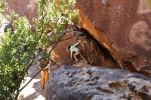 Bouldering in Hueco Tanks on 02/16/2020 with Blue Lizard Climbing and Yoga

Filename: SRM_20200216_1309440.jpg
Aperture: f/6.3
Shutter Speed: 1/250
Body: Canon EOS-1D Mark II
Lens: Canon EF 16-35mm f/2.8 L