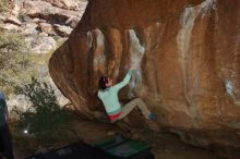 Bouldering in Hueco Tanks on 02/16/2020 with Blue Lizard Climbing and Yoga

Filename: SRM_20200216_1452240.jpg
Aperture: f/8.0
Shutter Speed: 1/250
Body: Canon EOS-1D Mark II
Lens: Canon EF 16-35mm f/2.8 L