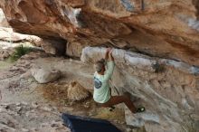 Bouldering in Hueco Tanks on 02/17/2020 with Blue Lizard Climbing and Yoga

Filename: SRM_20200217_1153130.jpg
Aperture: f/5.6
Shutter Speed: 1/250
Body: Canon EOS-1D Mark II
Lens: Canon EF 50mm f/1.8 II