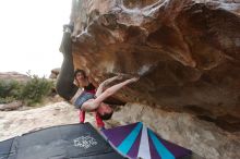 Bouldering in Hueco Tanks on 02/17/2020 with Blue Lizard Climbing and Yoga

Filename: SRM_20200217_1514500.jpg
Aperture: f/4.5
Shutter Speed: 1/320
Body: Canon EOS-1D Mark II
Lens: Canon EF 16-35mm f/2.8 L