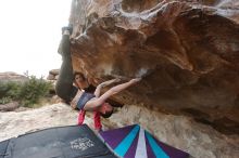 Bouldering in Hueco Tanks on 02/17/2020 with Blue Lizard Climbing and Yoga

Filename: SRM_20200217_1514510.jpg
Aperture: f/4.5
Shutter Speed: 1/320
Body: Canon EOS-1D Mark II
Lens: Canon EF 16-35mm f/2.8 L