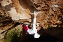 Bouldering in Hueco Tanks on 02/17/2020 with Blue Lizard Climbing and Yoga

Filename: SRM_20200217_1622060.jpg
Aperture: f/8.0
Shutter Speed: 1/500
Body: Canon EOS-1D Mark II
Lens: Canon EF 16-35mm f/2.8 L