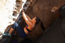 Bouldering in Hueco Tanks on 02/17/2020 with Blue Lizard Climbing and Yoga

Filename: SRM_20200217_1637510.jpg
Aperture: f/4.0
Shutter Speed: 1/320
Body: Canon EOS-1D Mark II
Lens: Canon EF 16-35mm f/2.8 L