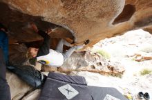 Bouldering in Hueco Tanks on 02/21/2020 with Blue Lizard Climbing and Yoga

Filename: SRM_20200221_1058180.jpg
Aperture: f/4.0
Shutter Speed: 1/250
Body: Canon EOS-1D Mark II
Lens: Canon EF 16-35mm f/2.8 L