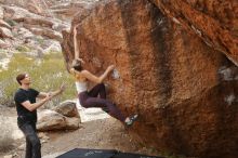 Bouldering in Hueco Tanks on 02/28/2020 with Blue Lizard Climbing and Yoga

Filename: SRM_20200228_1254160.jpg
Aperture: f/9.0
Shutter Speed: 1/250
Body: Canon EOS-1D Mark II
Lens: Canon EF 16-35mm f/2.8 L