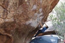 Bouldering in Hueco Tanks on 02/28/2020 with Blue Lizard Climbing and Yoga

Filename: SRM_20200228_1308120.jpg
Aperture: f/4.0
Shutter Speed: 1/250
Body: Canon EOS-1D Mark II
Lens: Canon EF 16-35mm f/2.8 L