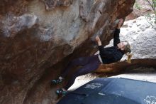 Bouldering in Hueco Tanks on 02/28/2020 with Blue Lizard Climbing and Yoga

Filename: SRM_20200228_1313070.jpg
Aperture: f/4.5
Shutter Speed: 1/250
Body: Canon EOS-1D Mark II
Lens: Canon EF 16-35mm f/2.8 L