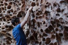 Bouldering in Hueco Tanks on 02/28/2020 with Blue Lizard Climbing and Yoga

Filename: SRM_20200228_1649270.jpg
Aperture: f/3.2
Shutter Speed: 1/100
Body: Canon EOS-1D Mark II
Lens: Canon EF 50mm f/1.8 II