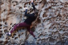 Bouldering in Hueco Tanks on 02/28/2020 with Blue Lizard Climbing and Yoga

Filename: SRM_20200228_1650370.jpg
Aperture: f/3.2
Shutter Speed: 1/100
Body: Canon EOS-1D Mark II
Lens: Canon EF 50mm f/1.8 II