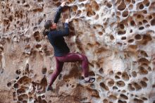 Bouldering in Hueco Tanks on 02/28/2020 with Blue Lizard Climbing and Yoga

Filename: SRM_20200228_1657350.jpg
Aperture: f/2.5
Shutter Speed: 1/100
Body: Canon EOS-1D Mark II
Lens: Canon EF 50mm f/1.8 II