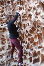 Bouldering in Hueco Tanks on 02/28/2020 with Blue Lizard Climbing and Yoga

Filename: SRM_20200228_1658060.jpg
Aperture: f/2.5
Shutter Speed: 1/100
Body: Canon EOS-1D Mark II
Lens: Canon EF 50mm f/1.8 II