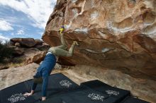 Bouldering in Hueco Tanks on 02/29/2020 with Blue Lizard Climbing and Yoga

Filename: SRM_20200229_1137110.jpg
Aperture: f/8.0
Shutter Speed: 1/250
Body: Canon EOS-1D Mark II
Lens: Canon EF 16-35mm f/2.8 L