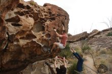 Bouldering in Hueco Tanks on 02/29/2020 with Blue Lizard Climbing and Yoga

Filename: SRM_20200229_1652520.jpg
Aperture: f/7.1
Shutter Speed: 1/400
Body: Canon EOS-1D Mark II
Lens: Canon EF 16-35mm f/2.8 L