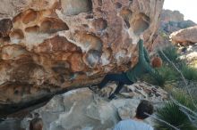 Bouldering in Hueco Tanks on 03/16/2020 with Blue Lizard Climbing and Yoga

Filename: SRM_20200316_0921480.jpg
Aperture: f/4.5
Shutter Speed: 1/320
Body: Canon EOS-1D Mark II
Lens: Canon EF 50mm f/1.8 II