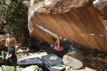 Bouldering in Hueco Tanks on 03/16/2020 with Blue Lizard Climbing and Yoga

Filename: SRM_20200316_1243040.jpg
Aperture: f/8.0
Shutter Speed: 1/250
Body: Canon EOS-1D Mark II
Lens: Canon EF 16-35mm f/2.8 L