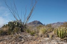 Camping and hiking in Big Bend National Park, west Texas, New Years 2007.

Filename: SRM_20070102_1112381.jpg
Aperture: f/14.0
Shutter Speed: 1/160
Body: Canon EOS 20D
Lens: Canon EF-S 18-55mm f/3.5-5.6