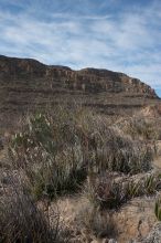 Camping and hiking in Big Bend National Park, west Texas, New Years 2007.

Filename: SRM_20070102_1237103.jpg
Aperture: f/10.0
Shutter Speed: 1/160
Body: Canon EOS 20D
Lens: Canon EF-S 18-55mm f/3.5-5.6