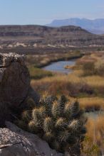 Camping and hiking in Big Bend National Park, west Texas, New Years 2007.

Filename: SRM_20070102_1318168.jpg
Aperture: f/8.0
Shutter Speed: 1/640
Body: Canon EOS-1D Mark II
Lens: Canon EF 80-200mm f/2.8 L