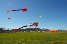 79th annual Zilker Park Kite Festival, Sunday, March 4, 2007.

Filename: SRM_20070304_1505267.jpg
Aperture: f/14.0
Shutter Speed: 1/160
Body: Canon EOS-1D Mark II
Lens: Sigma 15-30mm f/3.5-4.5 EX Aspherical DG DF