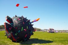 79th annual Zilker Park Kite Festival, Sunday, March 4, 2007.

Filename: SRM_20070304_1506380.jpg
Aperture: f/10.0
Shutter Speed: 1/160
Body: Canon EOS-1D Mark II
Lens: Sigma 15-30mm f/3.5-4.5 EX Aspherical DG DF