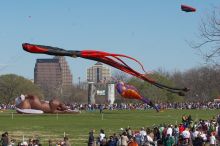79th annual Zilker Park Kite Festival, Sunday, March 4, 2007.

Filename: SRM_20070304_1518186.jpg
Aperture: f/9.0
Shutter Speed: 1/500
Body: Canon EOS 20D
Lens: Canon EF 80-200mm f/2.8 L