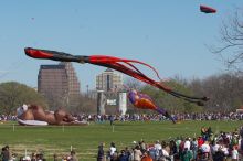 79th annual Zilker Park Kite Festival, Sunday, March 4, 2007.

Filename: SRM_20070304_1518186.jpg
Aperture: f/9.0
Shutter Speed: 1/500
Body: Canon EOS 20D
Lens: Canon EF 80-200mm f/2.8 L