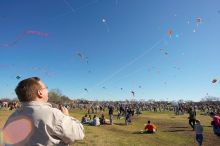 Former UT student Jeff Greenwell attempts to fly a kite at the 79th annual Zilker Park Kite Festival, Sunday, March 4, 2007.

Filename: SRM_20070304_1535081.jpg
Aperture: f/11.0
Shutter Speed: 1/250
Body: Canon EOS-1D Mark II
Lens: Sigma 15-30mm f/3.5-4.5 EX Aspherical DG DF