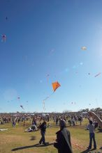 Madhav Tadikonda, class of 1997, and Anjali Patel, class of 1999, fly a UT kite at the 79th annual Zilker Park Kite Festival, Sunday, March 4, 2007.

Filename: SRM_20070304_1540366.jpg
Aperture: f/11.0
Shutter Speed: 1/250
Body: Canon EOS-1D Mark II
Lens: Sigma 15-30mm f/3.5-4.5 EX Aspherical DG DF