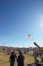 Madhav Tadikonda, class of 1997, and Anjali Patel, class of 1999, fly a UT kite at the 79th annual Zilker Park Kite Festival, Sunday, March 4, 2007.

Filename: SRM_20070304_1540422.jpg
Aperture: f/11.0
Shutter Speed: 1/250
Body: Canon EOS-1D Mark II
Lens: Sigma 15-30mm f/3.5-4.5 EX Aspherical DG DF