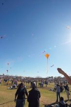 Madhav Tadikonda, class of 1997, and Anjali Patel, class of 1999, fly a UT kite at the 79th annual Zilker Park Kite Festival, Sunday, March 4, 2007.

Filename: SRM_20070304_1540443.jpg
Aperture: f/11.0
Shutter Speed: 1/250
Body: Canon EOS-1D Mark II
Lens: Sigma 15-30mm f/3.5-4.5 EX Aspherical DG DF