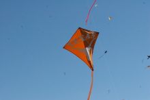 UT kites at the 79th annual Zilker Park Kite Festival, Sunday, March 4, 2007.

Filename: SRM_20070304_1541169.jpg
Aperture: f/14.0
Shutter Speed: 1/500
Body: Canon EOS 20D
Lens: Canon EF 80-200mm f/2.8 L
