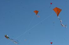UT kites at the 79th annual Zilker Park Kite Festival, Sunday, March 4, 2007.

Filename: SRM_20070304_1541221.jpg
Aperture: f/14.0
Shutter Speed: 1/500
Body: Canon EOS 20D
Lens: Canon EF 80-200mm f/2.8 L