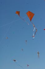 UT kites at the 79th annual Zilker Park Kite Festival, Sunday, March 4, 2007.

Filename: SRM_20070304_1541284.jpg
Aperture: f/16.0
Shutter Speed: 1/500
Body: Canon EOS 20D
Lens: Canon EF 80-200mm f/2.8 L