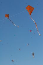 UT kites at the 79th annual Zilker Park Kite Festival, Sunday, March 4, 2007.

Filename: SRM_20070304_1541305.jpg
Aperture: f/14.0
Shutter Speed: 1/500
Body: Canon EOS 20D
Lens: Canon EF 80-200mm f/2.8 L