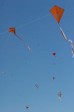 UT kites at the 79th annual Zilker Park Kite Festival, Sunday, March 4, 2007.

Filename: SRM_20070304_1541306.jpg
Aperture: f/14.0
Shutter Speed: 1/500
Body: Canon EOS 20D
Lens: Canon EF 80-200mm f/2.8 L