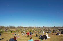 79th annual Zilker Park Kite Festival, Sunday, March 4, 2007.

Filename: SRM_20070304_1559304.jpg
Aperture: f/11.0
Shutter Speed: 1/250
Body: Canon EOS-1D Mark II
Lens: Sigma 15-30mm f/3.5-4.5 EX Aspherical DG DF