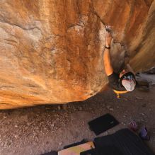

Filename: SRM_20220226_1216360.jpg
Aperture: f/5.6
Shutter Speed: 1/400
Body: Canon EOS R6
Lens: Canon EF 16-35mm f/2.8 L