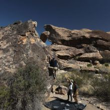 

Filename: SRM_20220409_0906190.jpg
Aperture: f/8.0
Shutter Speed: 1/500
Body: Canon EOS R6
Lens: Canon EF 16-35mm f/2.8 L