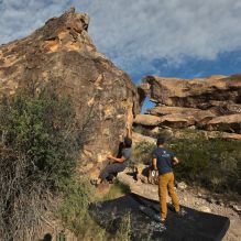 

Filename: SRM_20221022_0824050.jpg
Aperture: f/8.0
Shutter Speed: 1/1250
Body: Canon EOS R6
Lens: Canon EF 16-35mm f/2.8 L