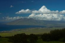 Bike trip down Haleakala.  Trip to Maui, Hawai'i, 2007.

Filename: SRM_20071221_1321206.jpg
Aperture: f/8.0
Shutter Speed: 1/800
Body: Canon EOS-1D Mark II
Lens: Canon EF 50mm f/1.8 II