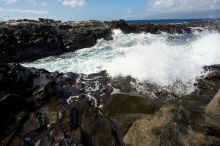 Hike to the Nakalele blowholes along the surf-beaten lava formations.

Filename: SRM_20071219_1227320.jpg
Aperture: f/8.0
Shutter Speed: 1/3200
Body: Canon EOS-1D Mark II
Lens: Sigma 15-30mm f/3.5-4.5 EX Aspherical DG DF