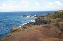 Hike to the Nakalele blowholes along the surf-beaten lava formations.

Filename: SRM_20071219_1315046.jpg
Aperture: f/10.0
Shutter Speed: 1/500
Body: Canon EOS-1D Mark II
Lens: Sigma 15-30mm f/3.5-4.5 EX Aspherical DG DF