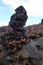 Hike to the Nakalele blowholes along the surf-beaten lava formations.

Filename: SRM_20071219_1340333.jpg
Aperture: f/10.0
Shutter Speed: 1/125
Body: Canon EOS-1D Mark II
Lens: Sigma 15-30mm f/3.5-4.5 EX Aspherical DG DF