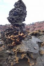 Hike to the Nakalele blowholes along the surf-beaten lava formations.

Filename: SRM_20071219_1340414.jpg
Aperture: f/10.0
Shutter Speed: 1/125
Body: Canon EOS-1D Mark II
Lens: Sigma 15-30mm f/3.5-4.5 EX Aspherical DG DF