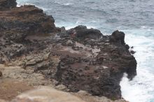 Hike to the Nakalele blowholes along the surf-beaten lava formations.

Filename: SRM_20071219_1406537.jpg
Aperture: f/5.6
Shutter Speed: 1/640
Body: Canon EOS 20D
Lens: Canon EF 80-200mm f/2.8 L