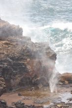 Hike to the Nakalele blowholes along the surf-beaten lava formations.

Filename: SRM_20071219_1413338.jpg
Aperture: f/5.6
Shutter Speed: 1/800
Body: Canon EOS 20D
Lens: Canon EF 300mm f/2.8 L IS