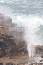 Hike to the Nakalele blowholes along the surf-beaten lava formations.

Filename: SRM_20071219_1413349.jpg
Aperture: f/5.6
Shutter Speed: 1/800
Body: Canon EOS 20D
Lens: Canon EF 300mm f/2.8 L IS