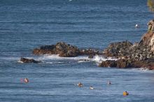 Surfers in Honolua Bay, Maui, Hawai'i, 2007.

Filename: SRM_20071217_1554103.jpg
Aperture: f/5.6
Shutter Speed: 1/1600
Body: Canon EOS 20D
Lens: Canon EF 300mm f/2.8 L IS