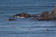 Surfers in Honolua Bay, Maui, Hawai'i, 2007.

Filename: SRM_20071217_1554525.jpg
Aperture: f/5.6
Shutter Speed: 1/1600
Body: Canon EOS 20D
Lens: Canon EF 300mm f/2.8 L IS